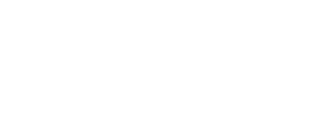 NTSHOP Logo